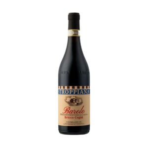 Barolo DOCG Bricco Cogni 2019 Stroppiana