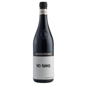 Langhe DOC Nebbiolo No Name 2022 Borgogno