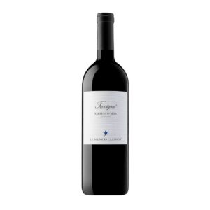 Barbera d'Alba DOC Trevigne 2023 Domenico Clerico