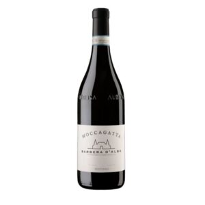Barbera d'Alba DOC 2024 Moccagatta