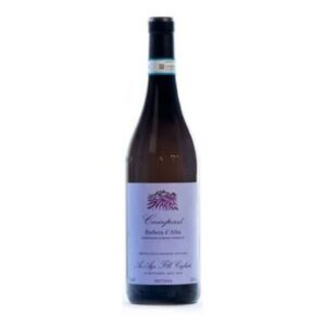 Barbera d'Alba DOC Campass 2023 Fratelli Cigliuti