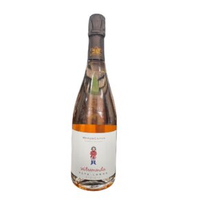 Alta Langa DOCG Extra Brut Rosé 2022 Marco Capra