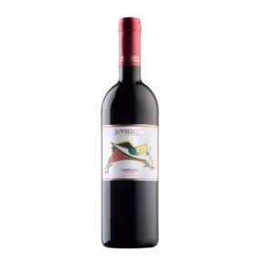 Colli Novaresi DOC Nebbiolo Val Plazza 2023 Rovellotti